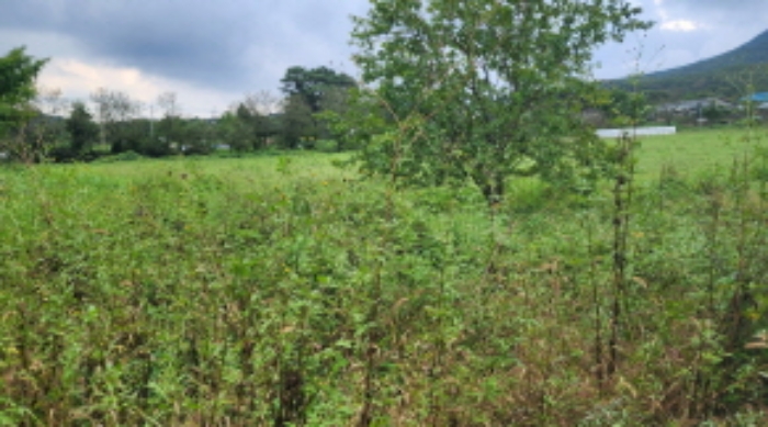 부동산의 표시 2.