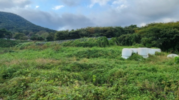 부동산의 표시 3. 비닐하우스 2동과 부동산의 표시 10.