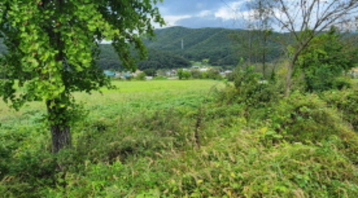 부동산의 표시 3.의 일부