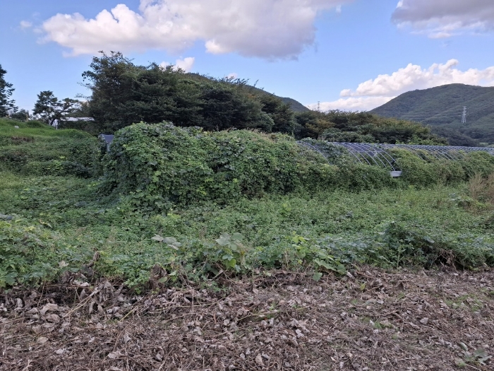 기호 (3)(4)(6)(7)(8) 전경