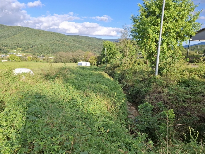 기호(2)(5)(7)(8)(9) 전경