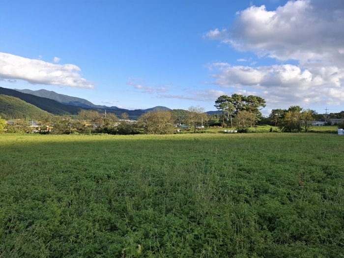 기호 (2)(3)(9) 전경