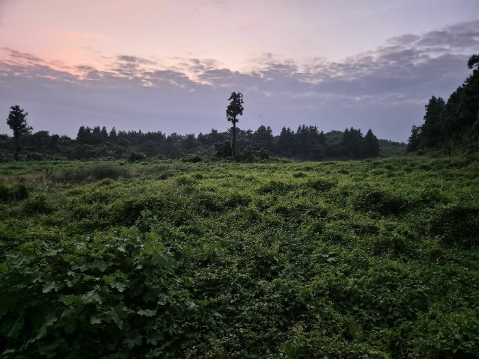 기호(19 22) 전경