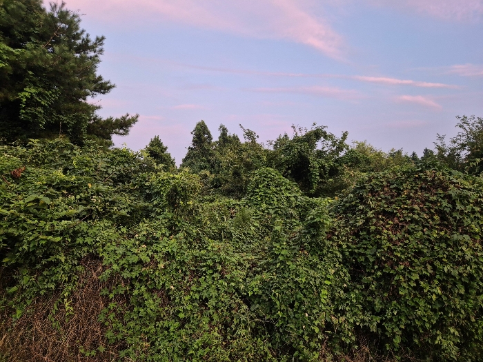 기호(20 24) 전경