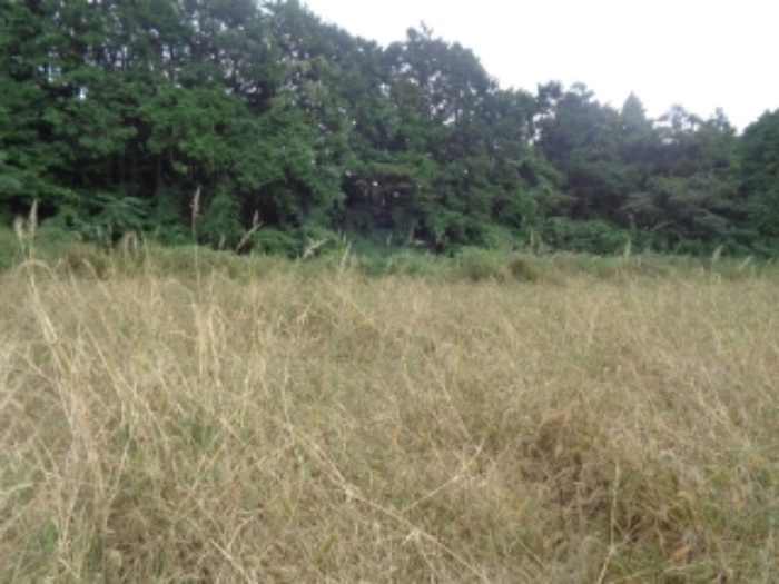 소재지1(금악리