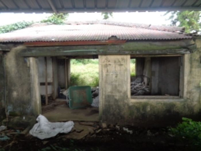 소재지6(금악목