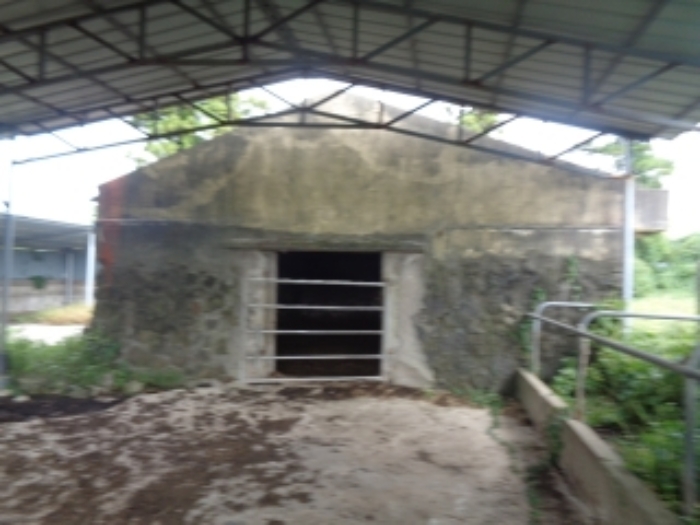 소재지7(금악목