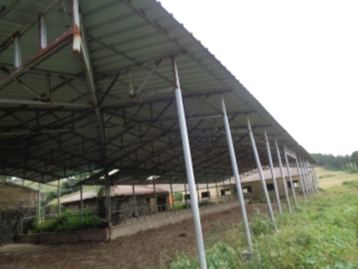 소재지8(금악목