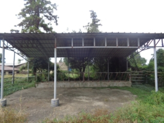 소재지9(금악목