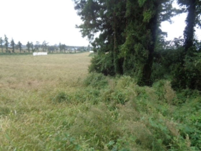 소재지2(금악리