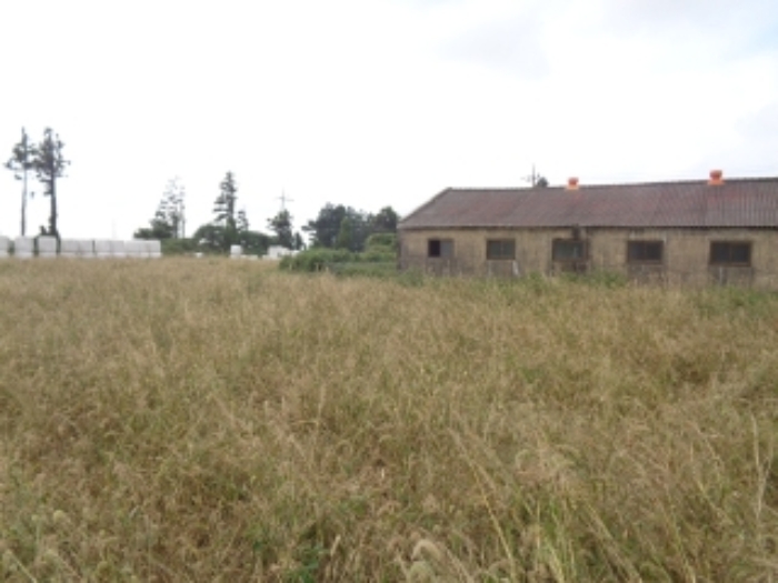 소재지3(금악리