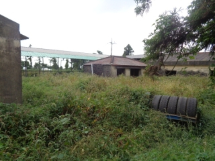 소재지5(금악리