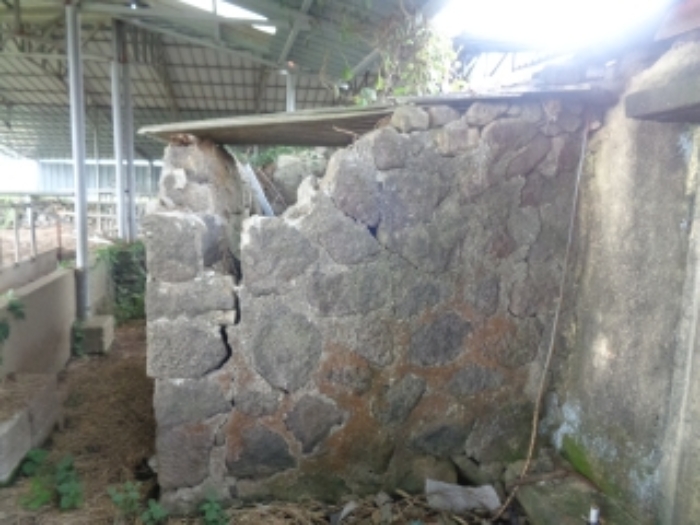 소재지5(금악리