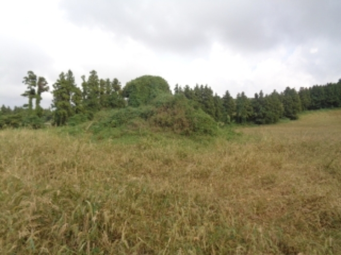 소재지4(금악리