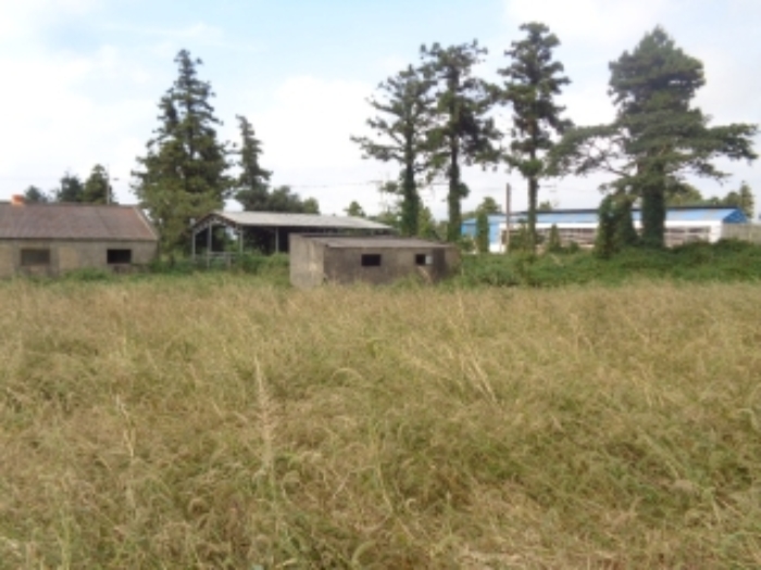 소재지4(금악리