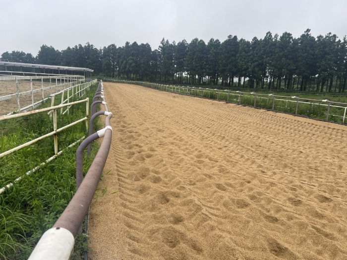 일련번호 1) 