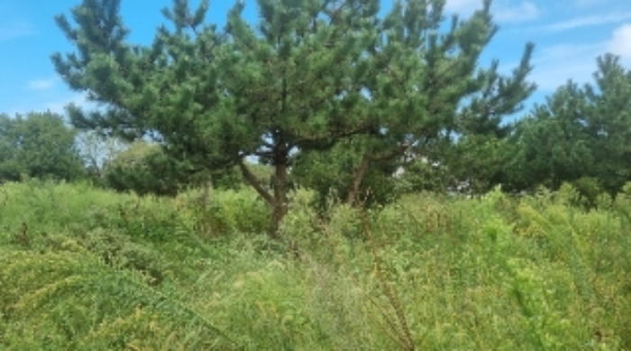 소재지9(김녕리
