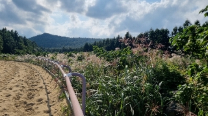 소재지12(송당
