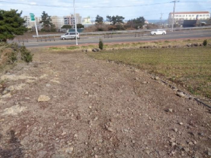 소재지 2. (애월리 571) 전경