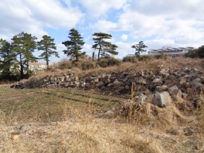 소재지 2. (애월리 571) 일부 지상 다수의 자연석 사진