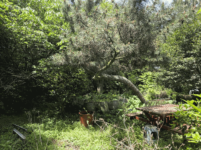 제시외물건 ㄷ)