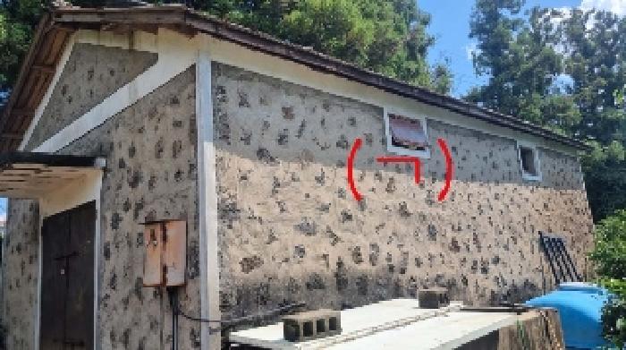 소재지1(서호동