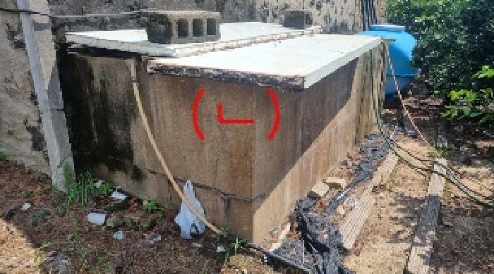 소재지1(서호동