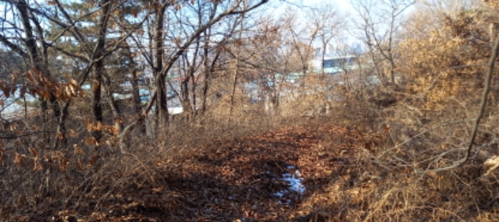 목록 3. 토지 전경