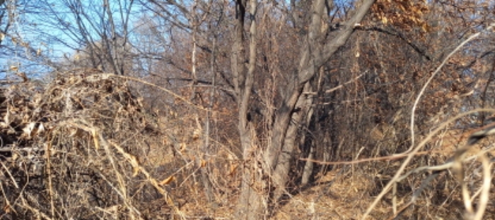 목록 6. 토지 전경