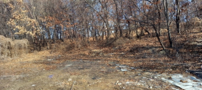 목록 6. 토지 전경