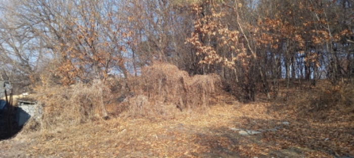 목록 6. 토지 전경