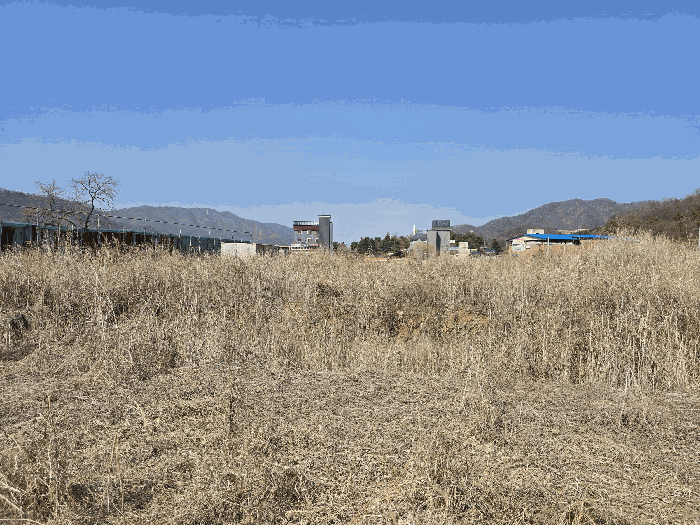 본건 기호(12) 전경