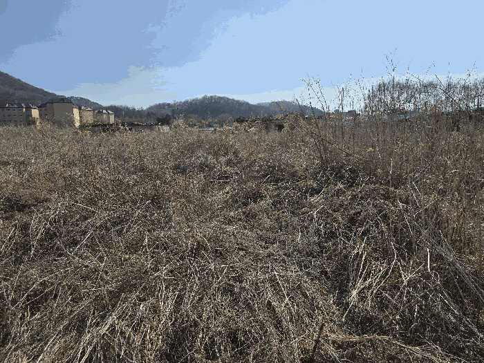 본건 기호(6) 전경