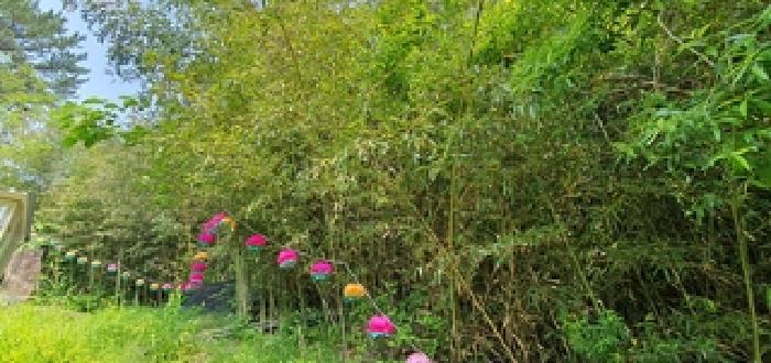 기호2 토지 전경