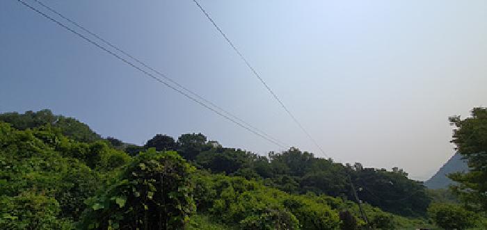 기호1 토지 전경