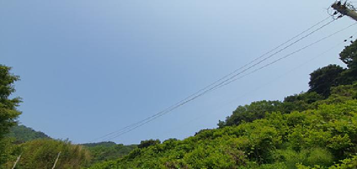 기호1 토지 전경