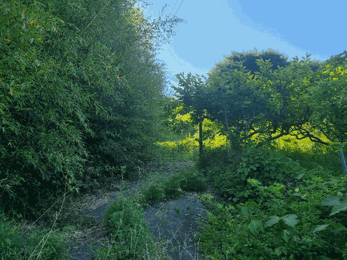 일련번호(5) 내부 도로