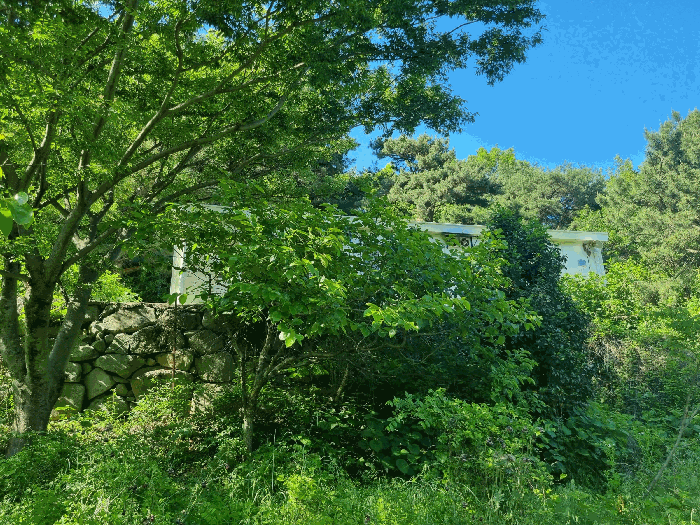 일련번호(3) 전경