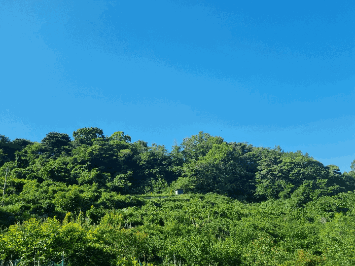 일련번호(1) 전경