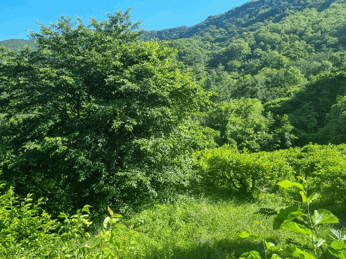 일련번호(5) 전경