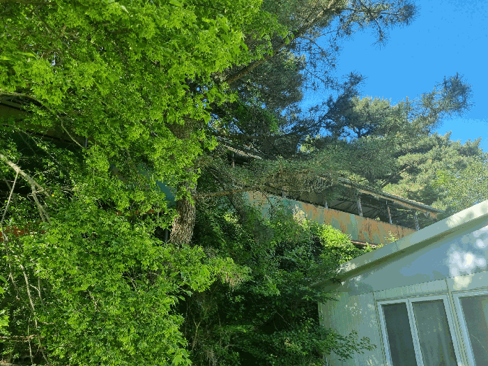 일련번호(4-2) 전경