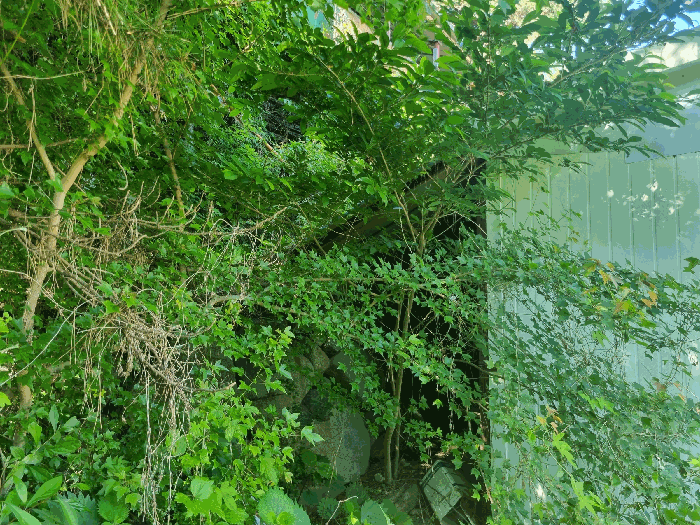 제시외 건물(ㄱ)