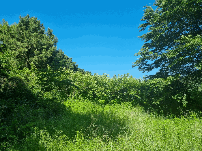 일련번호(5) 전경