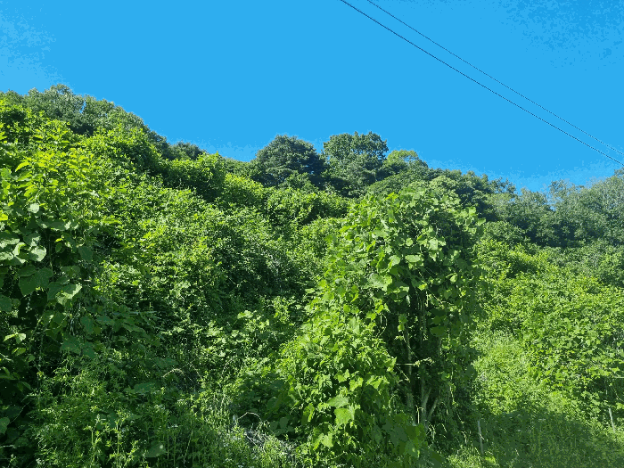 일련번호(5) 전경