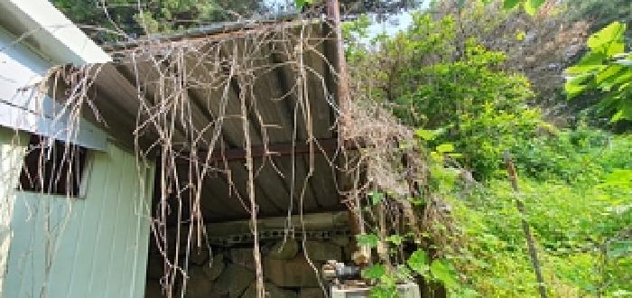 기호4 제시 건물뒤 제시외-가추 창고