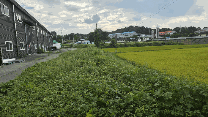 일련번호 2) 전경