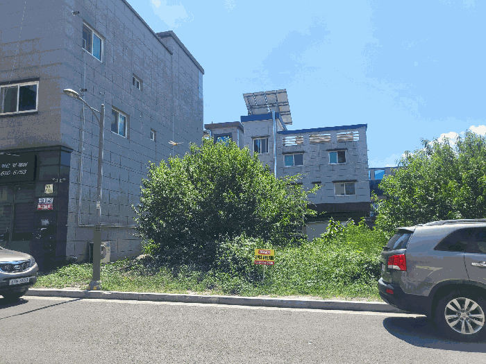 본건 북측