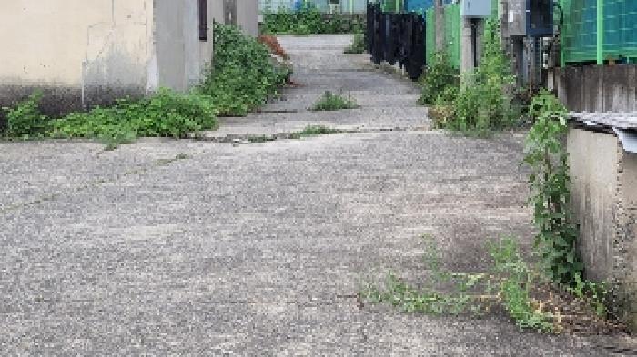 본건10 및 주변