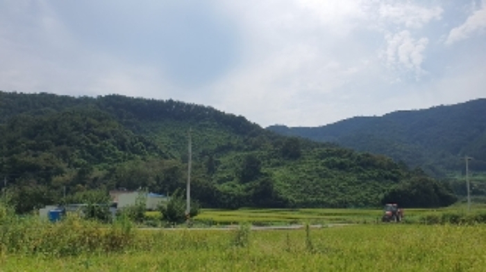 본건 및 주변 전경(본건1~본건9)