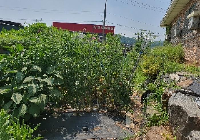 표시 목록 1 토지내 텃밭
